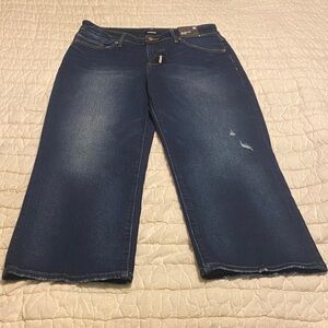 Express Dark Blue Flare Jeans